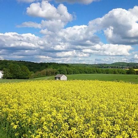 Ferienwohnung An Der Almequelle Brilon Zewnętrze zdjęcie