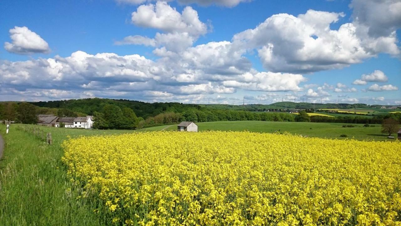 Ferienwohnung An Der Almequelle Brilon Zewnętrze zdjęcie
